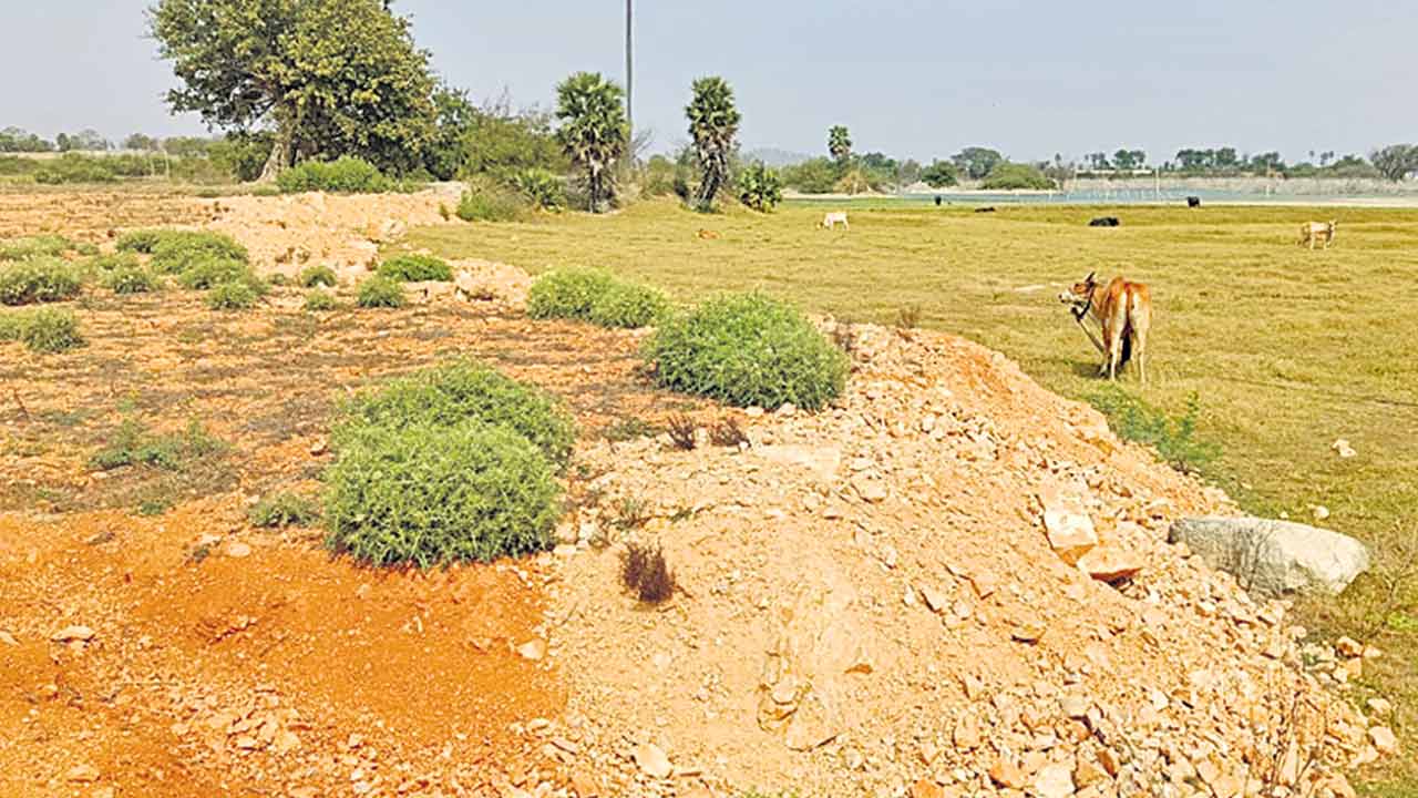 చెరువు మాయం!