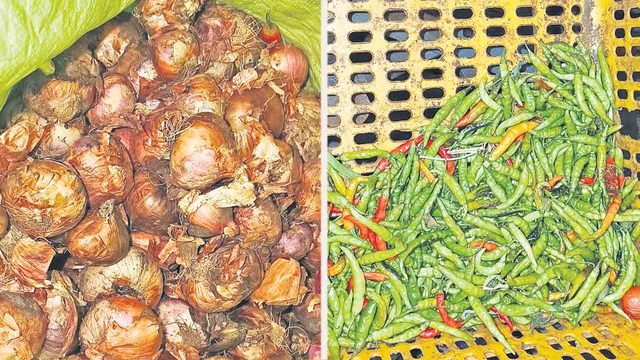 కుళ్ల్లిపోయిన కూరగాయలే దిక్కా..?