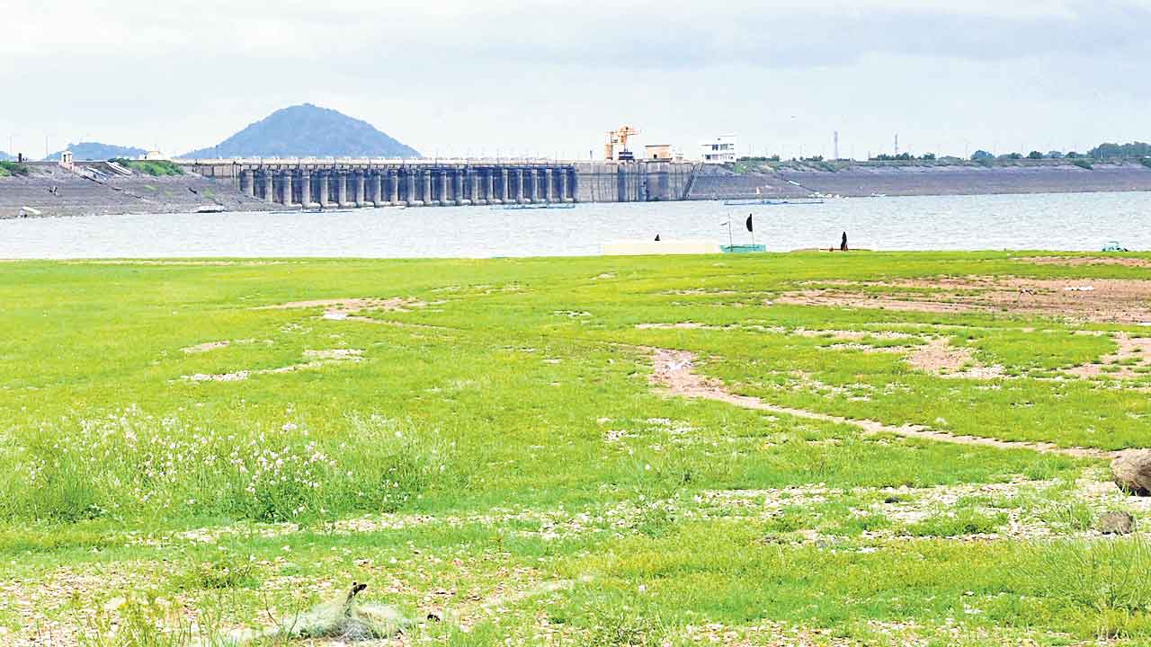 ఎల్‌ఎండీ వెలవెల