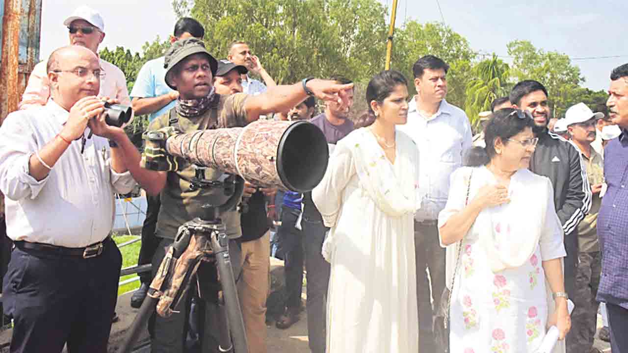 మంజీరా అభయారణ్యానికి రాంసార్‌ గుర్తింపునకు ప్రతిపాదనలు