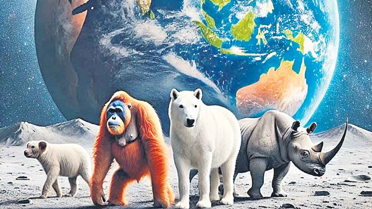 Life Bank | అంతరించిపోతున్న దశలో ఉన్న 10 లక్షల జీవ జాతులు.. చంద్రుడిపై లైఫ్‌ బ్యాంక్‌