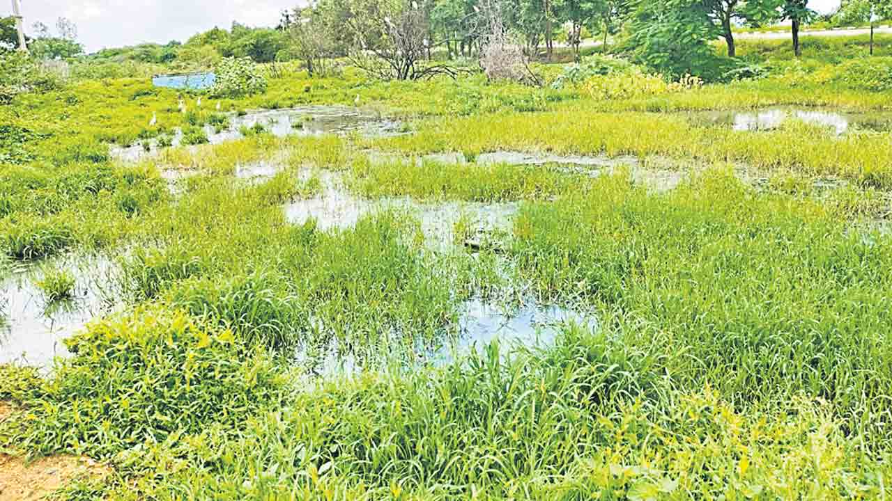 అద్దె భవనాలు…అసౌకర్యాలు