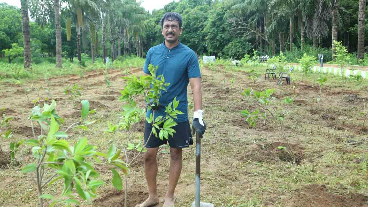 పర్యావరణ సమతుల్యాన్ని పాటిస్తున్నాం