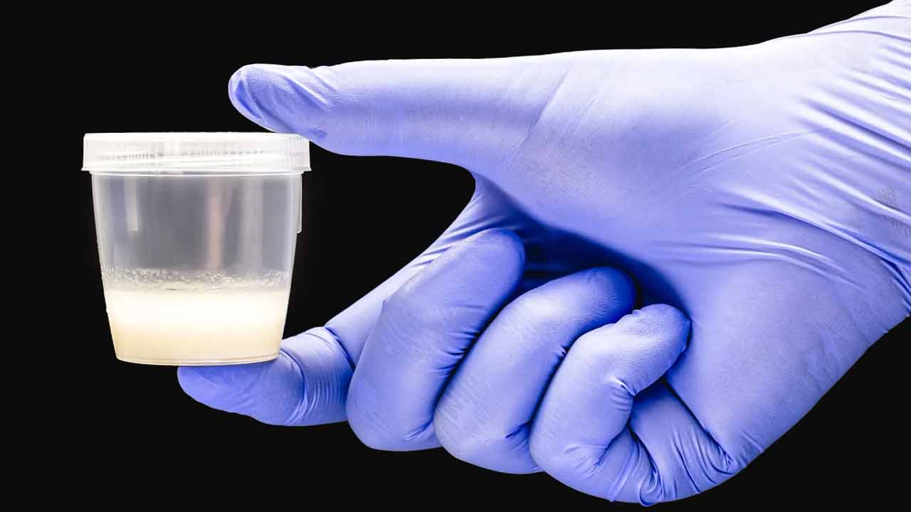 Sperm Donation | అదుపు తప్పిన వీర్యదానం.. విదేశాలకు సైతం ఎగుమతి!