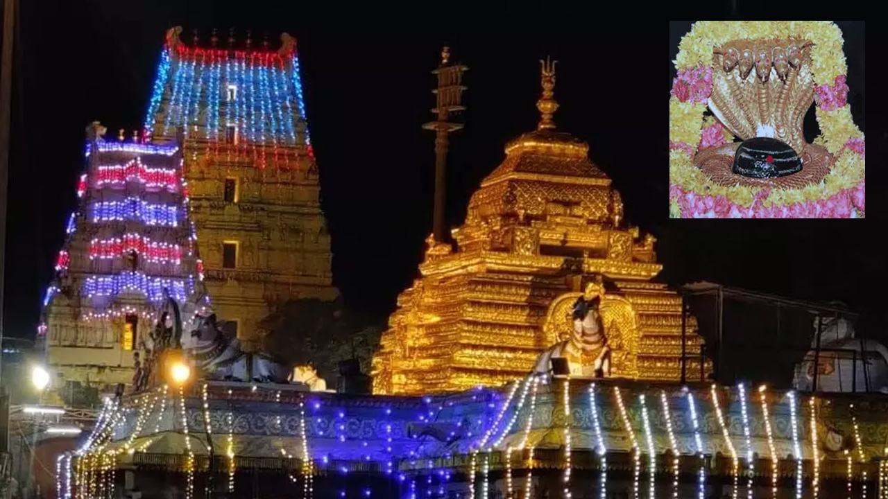 Srisailam | శ్రీశైలం మల్లన్న భక్తులకు గుడ్‌న్యూస్‌..! ఆ రోజుల్లో స్పర్శ దర్శన భాగ్యం..!