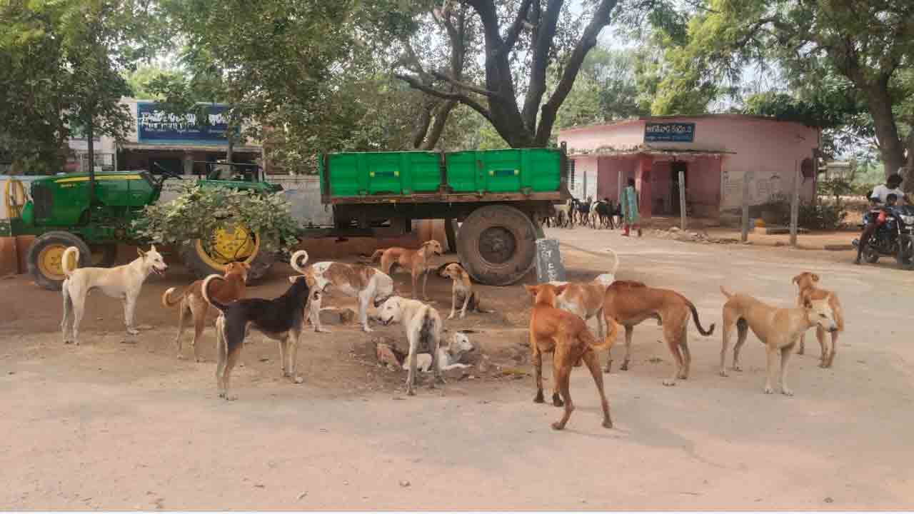 భాబోయ్‌ !