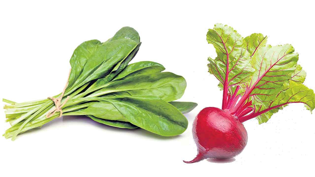 పొట్ట ఆరోగ్యం పదిలం!