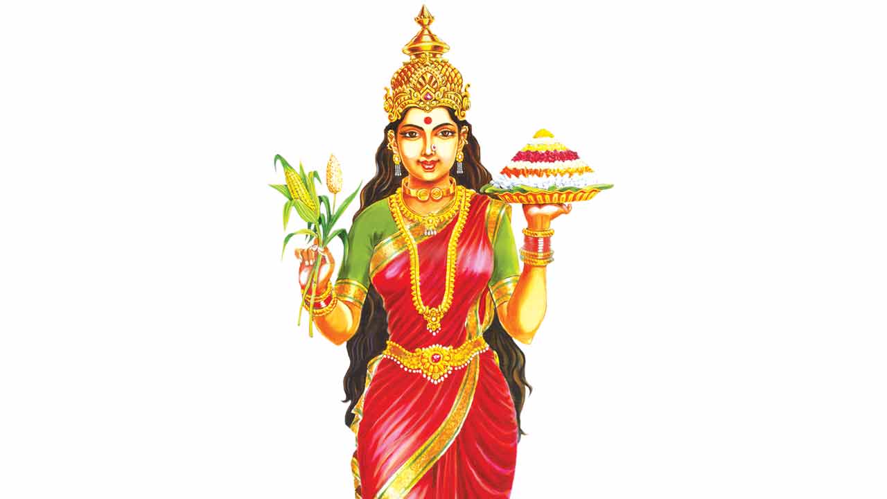 తెలంగాణ తల్లి కోసం..