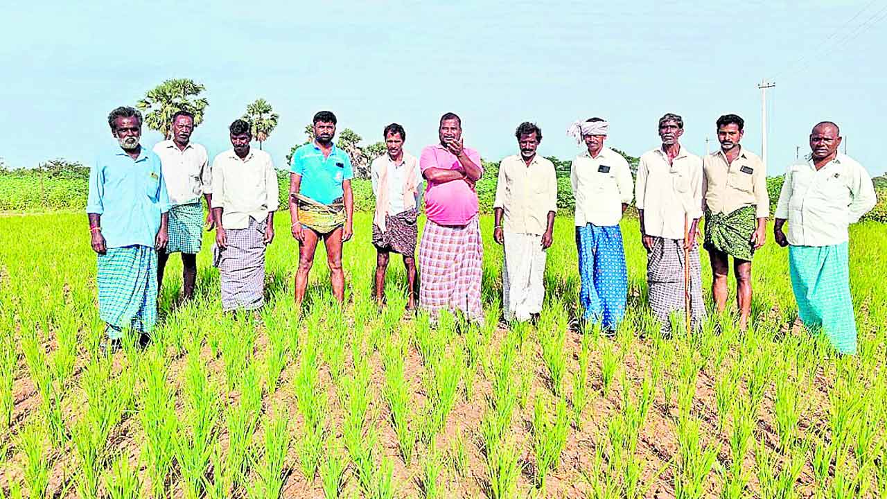 Warangal2