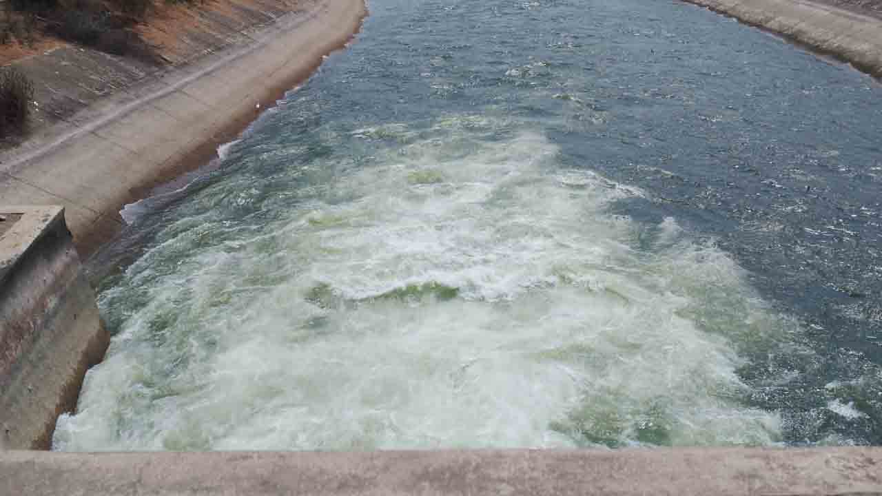 ఆయకట్టు పండేట్టు..