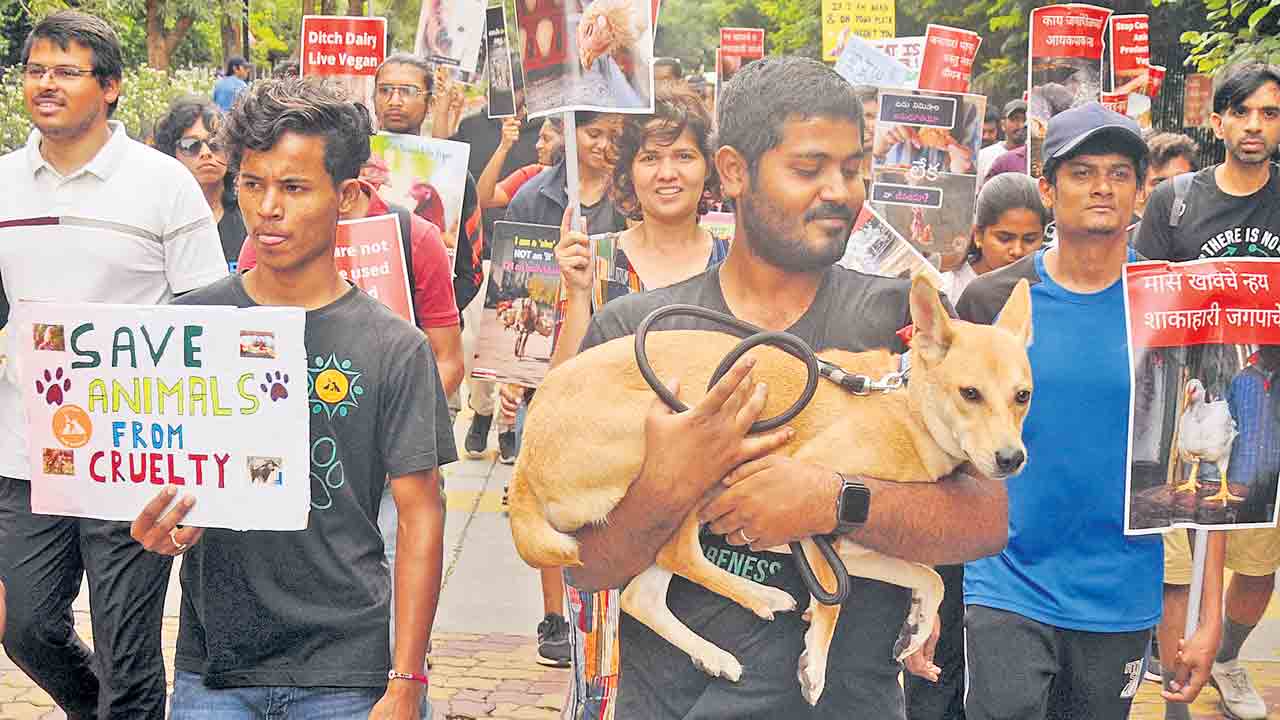 Vegan Walk | జంతువులను కాపాడాలంటూ వేగన్ వాక్..