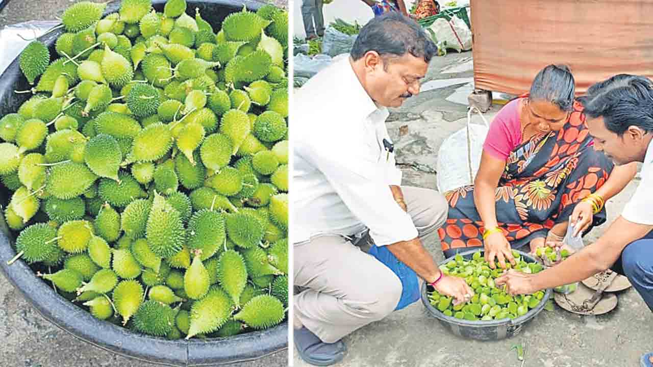 ‘బోడ కాకరకాయ’కు భలే గిరాకీ