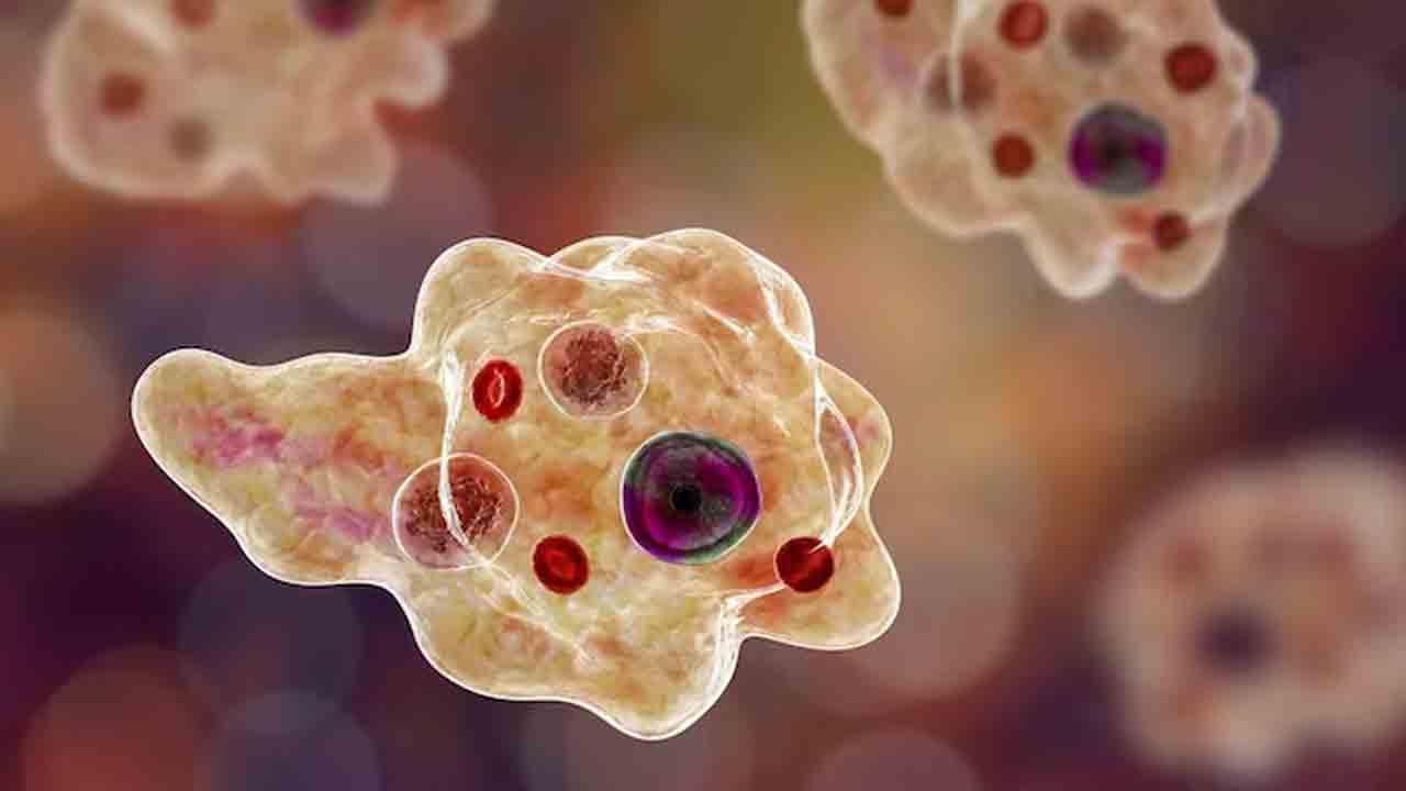 Brain Infection | అరుదైన మెదడు సంబంధిత వ్యాధితో కేరళలో ఐదు మరణాలు : వీణా జార్జ్‌