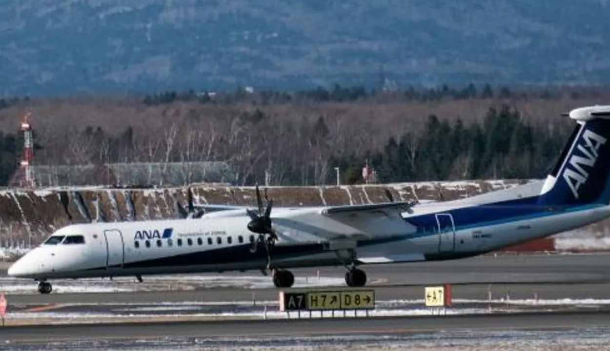 Scissors Missing: ఎయిర్‌పోర్టులో క‌త్తెరలు మిస్సింగ్‌.. 36 విమానాలు ర‌ద్దు, మ‌రో 200 ఆల‌స్యం