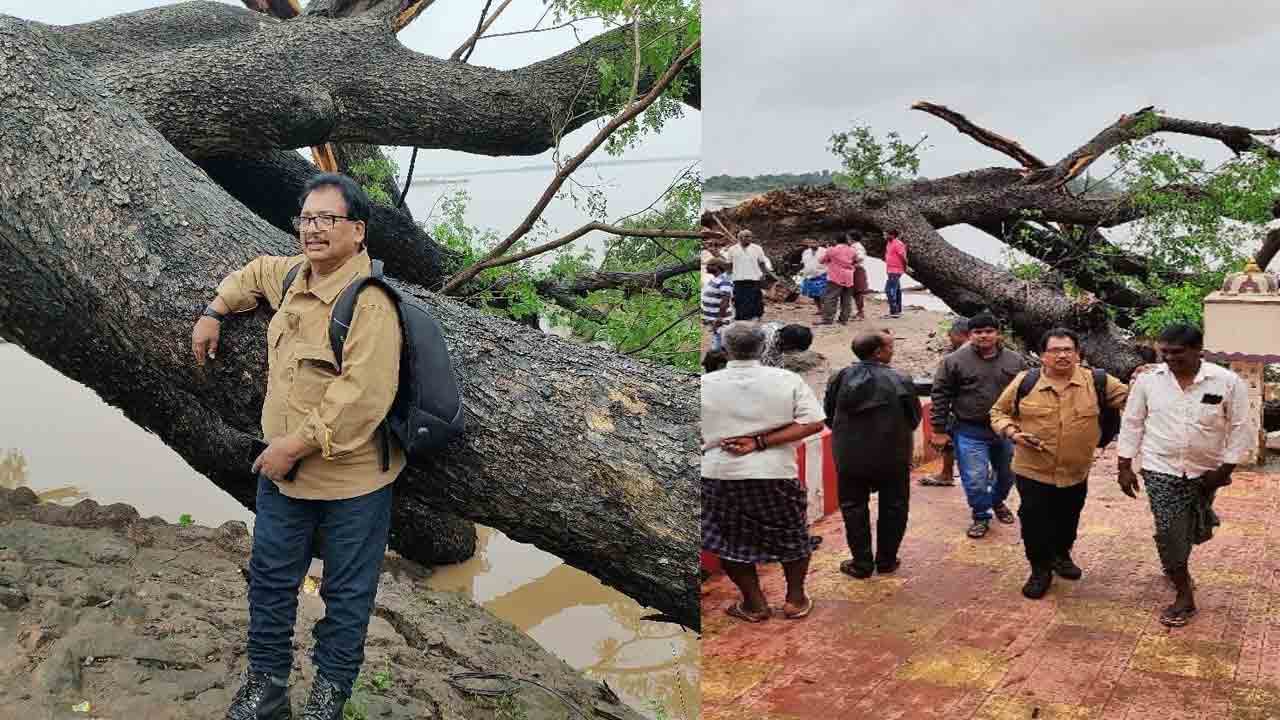 Cinema Chettu | సినిమా చెట్టు కూలిపోవడం చూసి బోరుమని ఏడ్చినా దర్శకుడు వంశీ