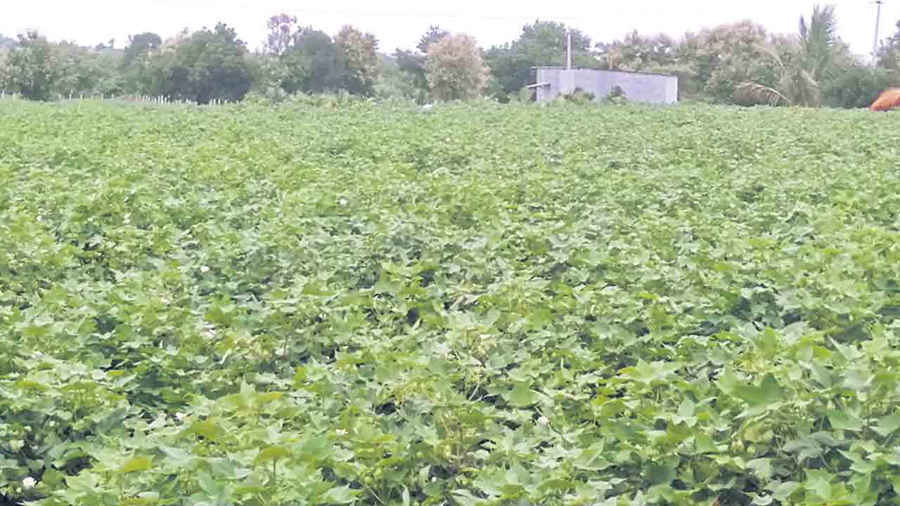 భూములు తీసుకుంటే బతికేదెలా..?