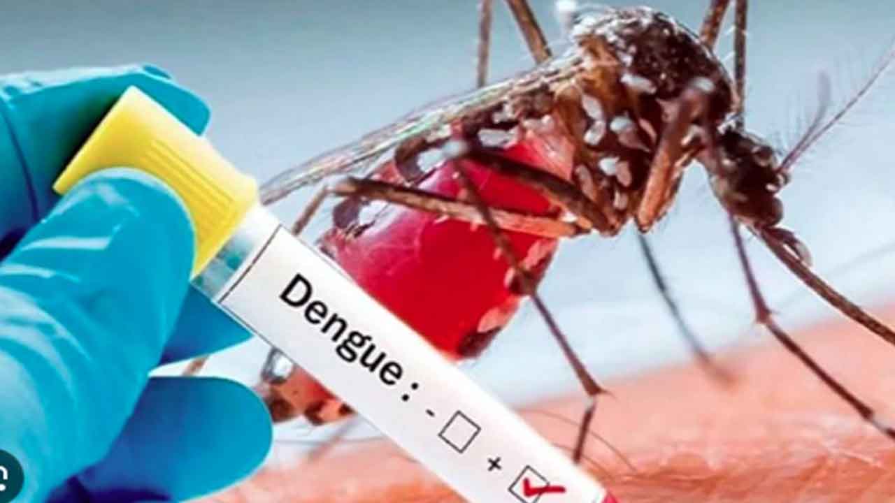 డెంగ్యు వణుకు.. ఉమ్మడి జిల్లాలో విజృంభిస్తున్న విషజ్వరాలు