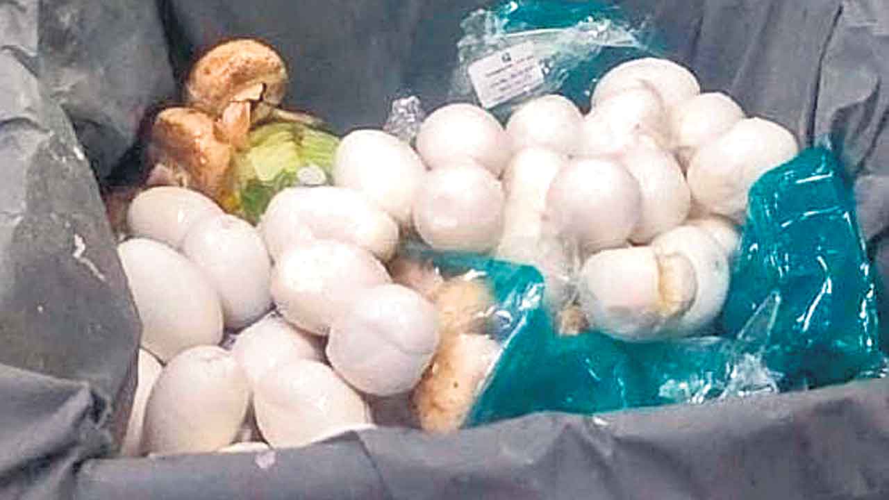 ఫుడ్‌ సేఫ్టీ అధికారుల తనిఖీలు