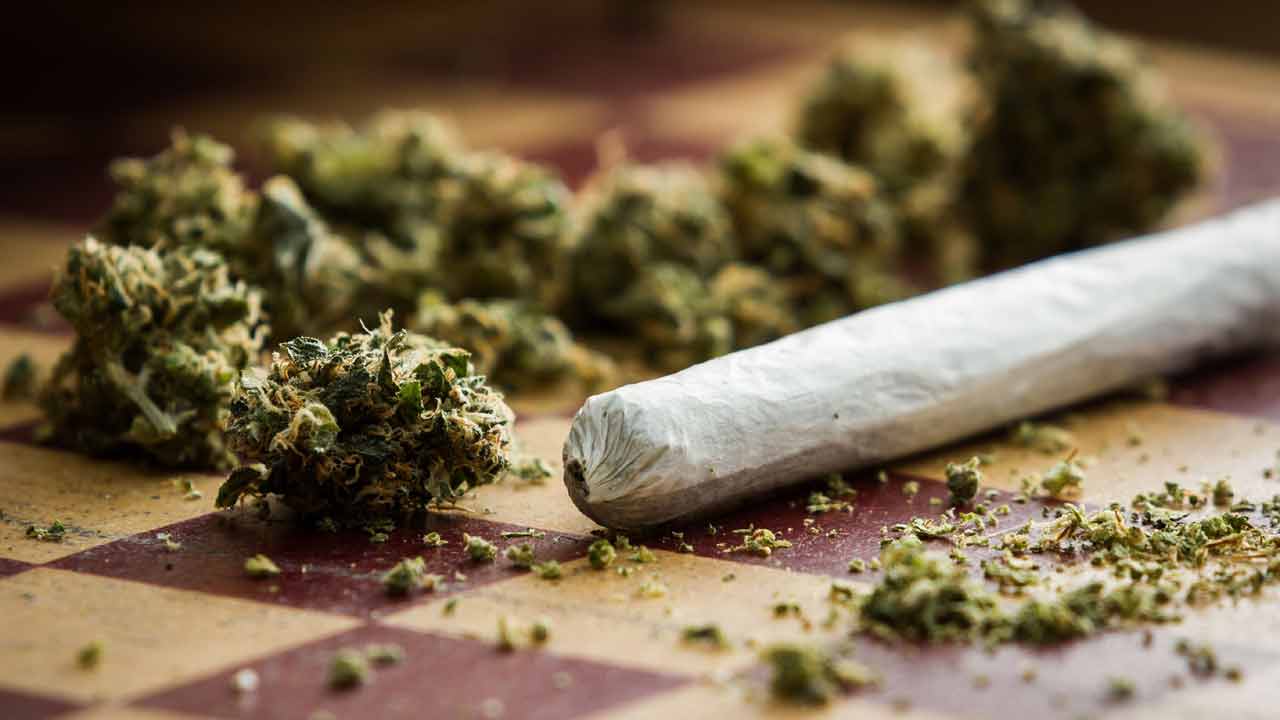 గాంజా పంజా