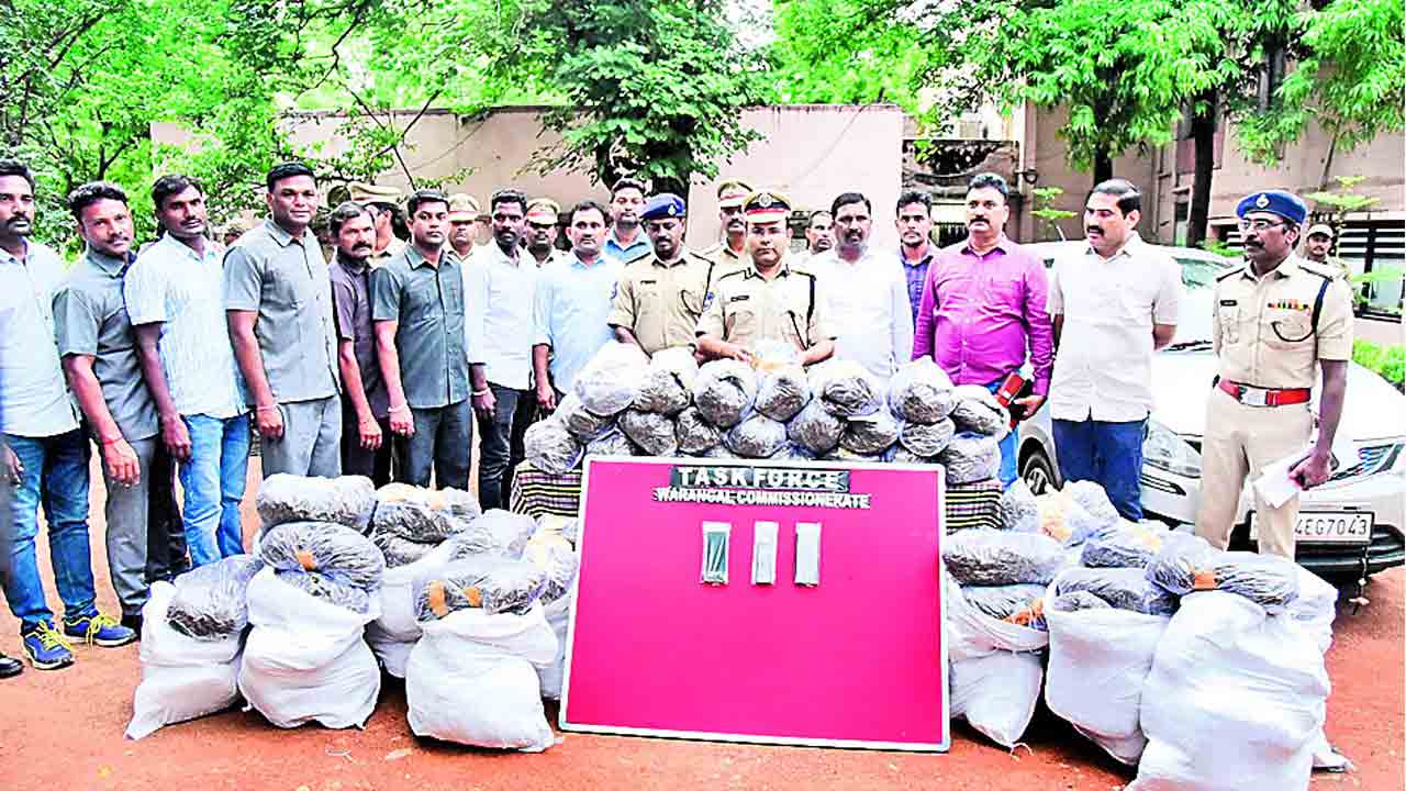 256 కిలోల గంజాయి పట్టివేత