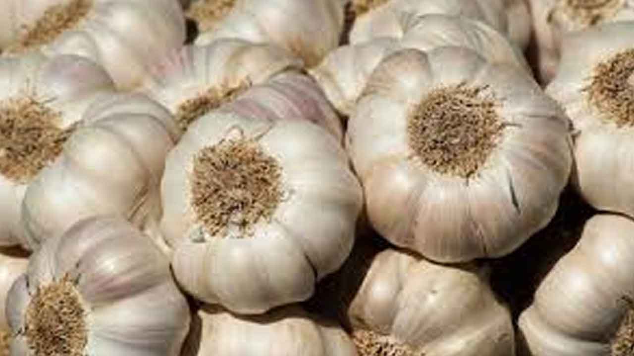 Garlic | వెల్లుల్లి కూరగాయనా.. మసాలా దినుసా..?