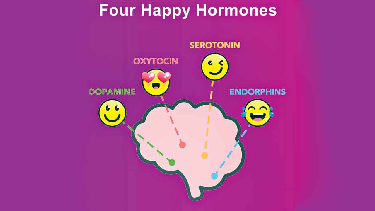 Happy Hormone S