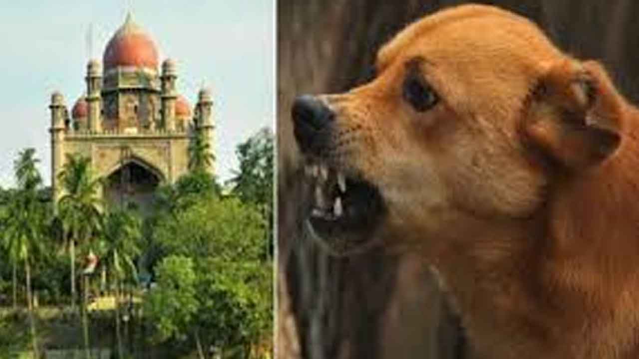 ఇండ్లలోకి చొరబడి చంపుతున్నాయ్‌