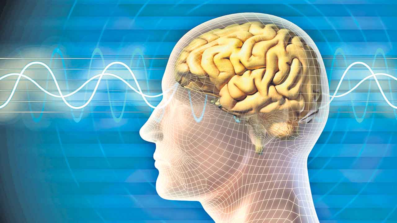 Telangana | మేధావులకు నిజాయితీ అక్కరలేదా?