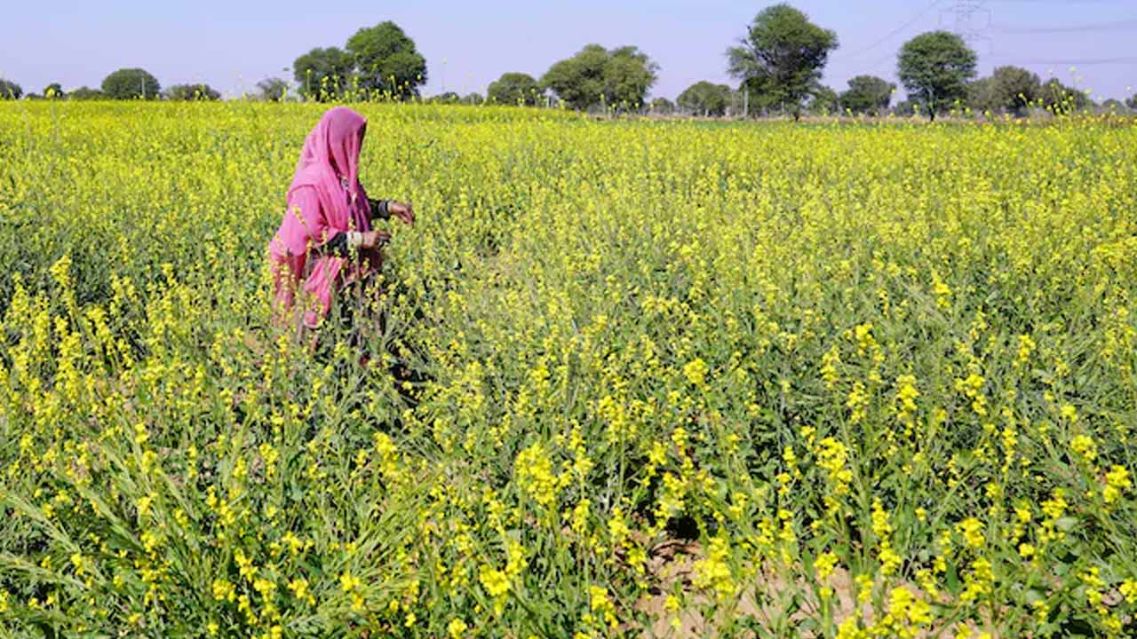 Madhya Pradesh: బంగ్లాదేశ్‌లో అస్థిర‌త.. మ‌ధ్య‌ప్ర‌దేశ్‌కు భారీ న‌ష్టం