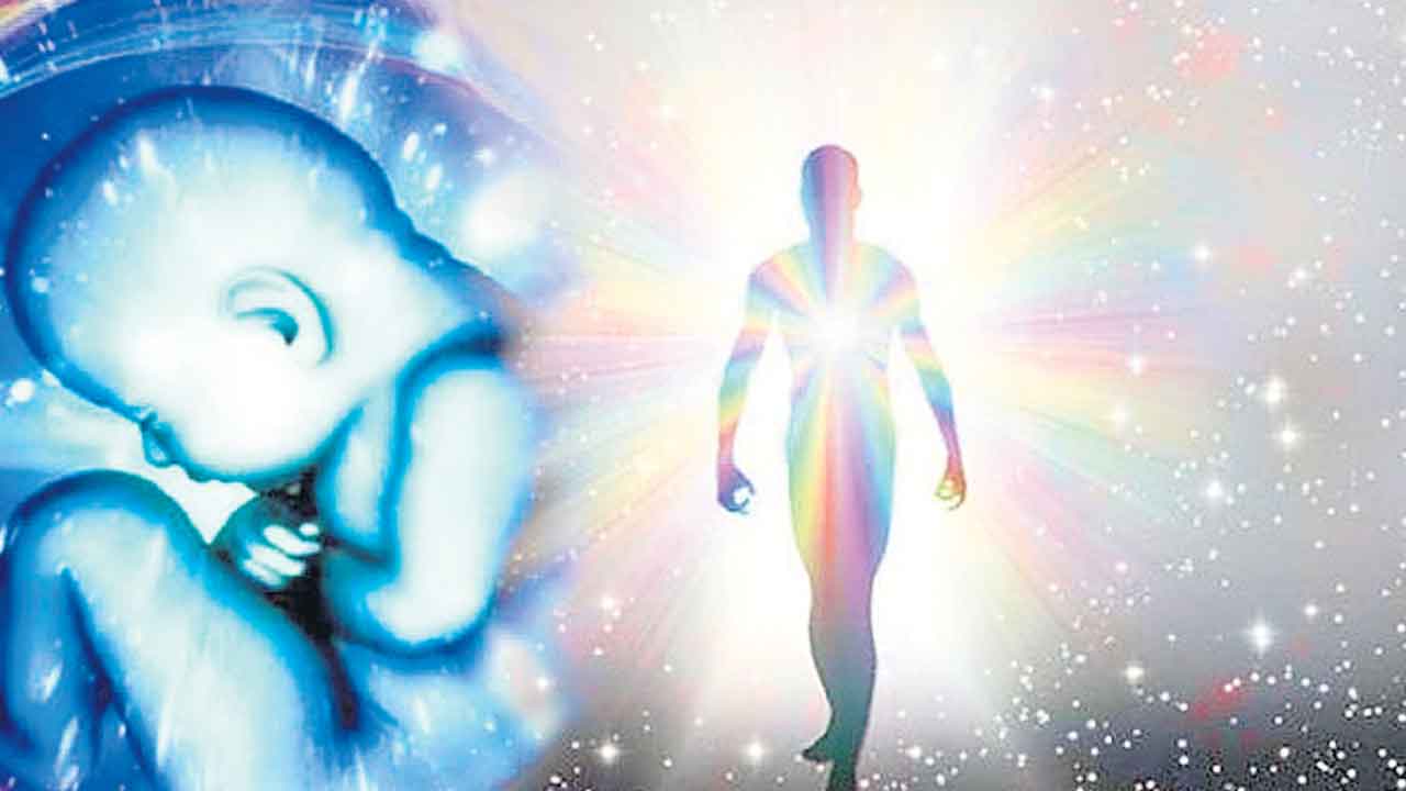 ఐఐటీ మండిలో పునర్జన్మపై కోర్సు