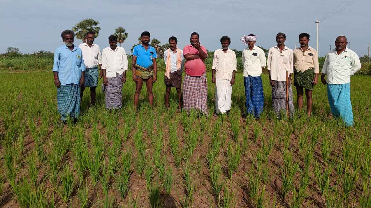 Palakurthi | పాలకుర్తి నియోజకవర్గంలో ఎన్నడు లేనంత కరువు.. పట్టించుకోని స్థానిక ఎమ్మెల్యే