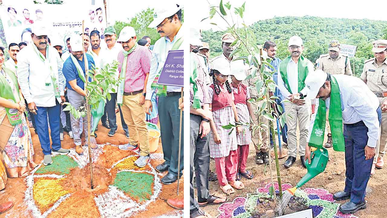 నాటిన ప్రతి మొక్కనూ సంరక్షించాలి