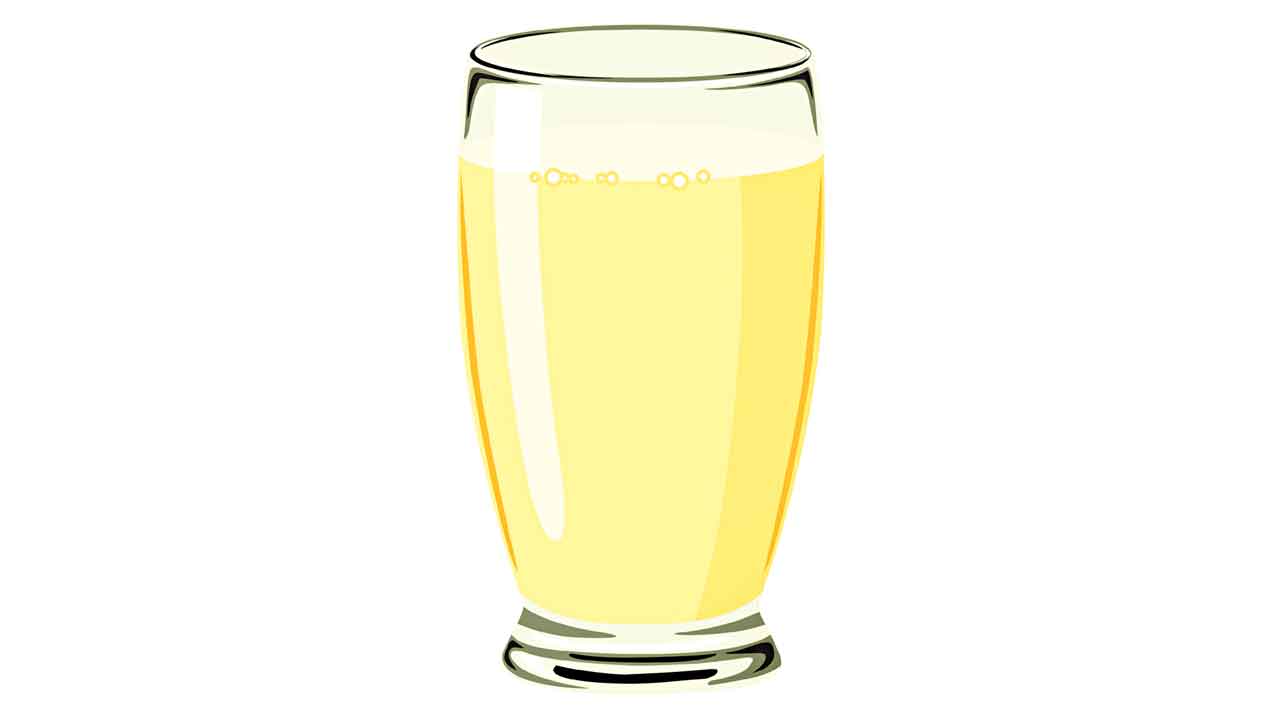 Sattu Milk