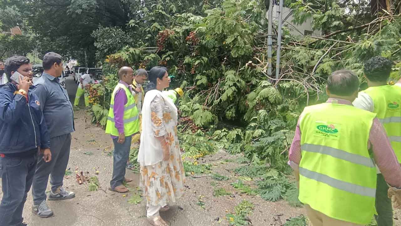 Huge tree | తార్నాకలో నేల కూలిన భారీ వృక్షం.. తెగిన హైటెన్షన్‌ విద్యుత్‌ వైర్లు
