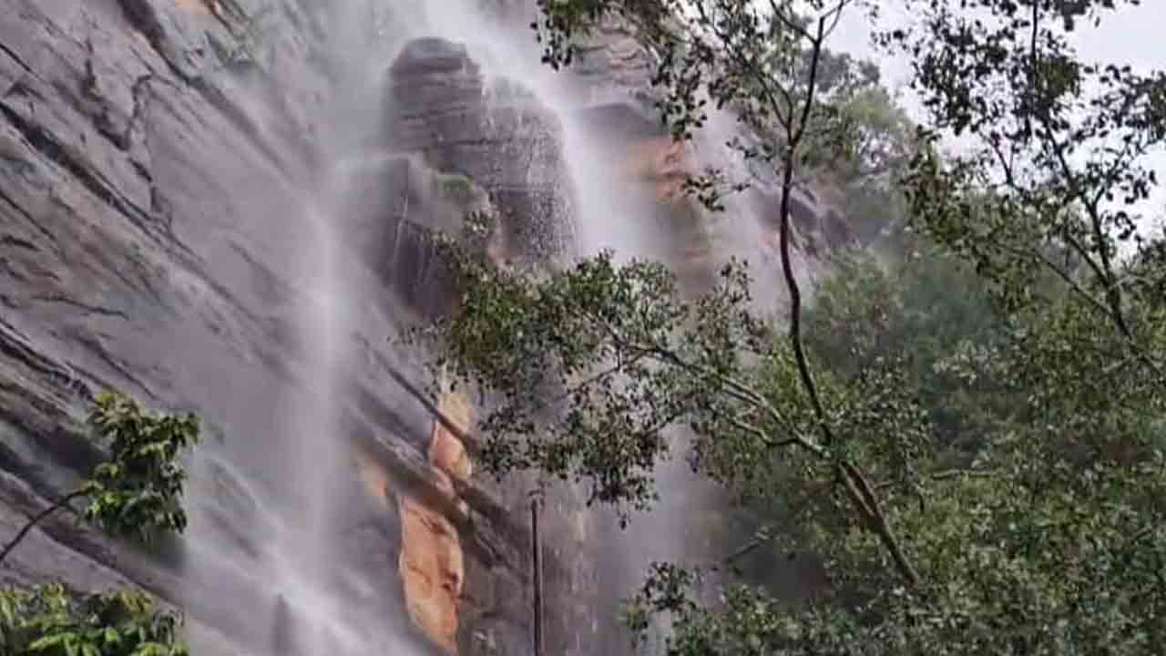 Nallamala Forest | న‌ల్ల‌మ‌ల అడ‌వుల్లో క‌నువిందు చేస్తున్న జ‌ల‌పాతం.. వీడియో