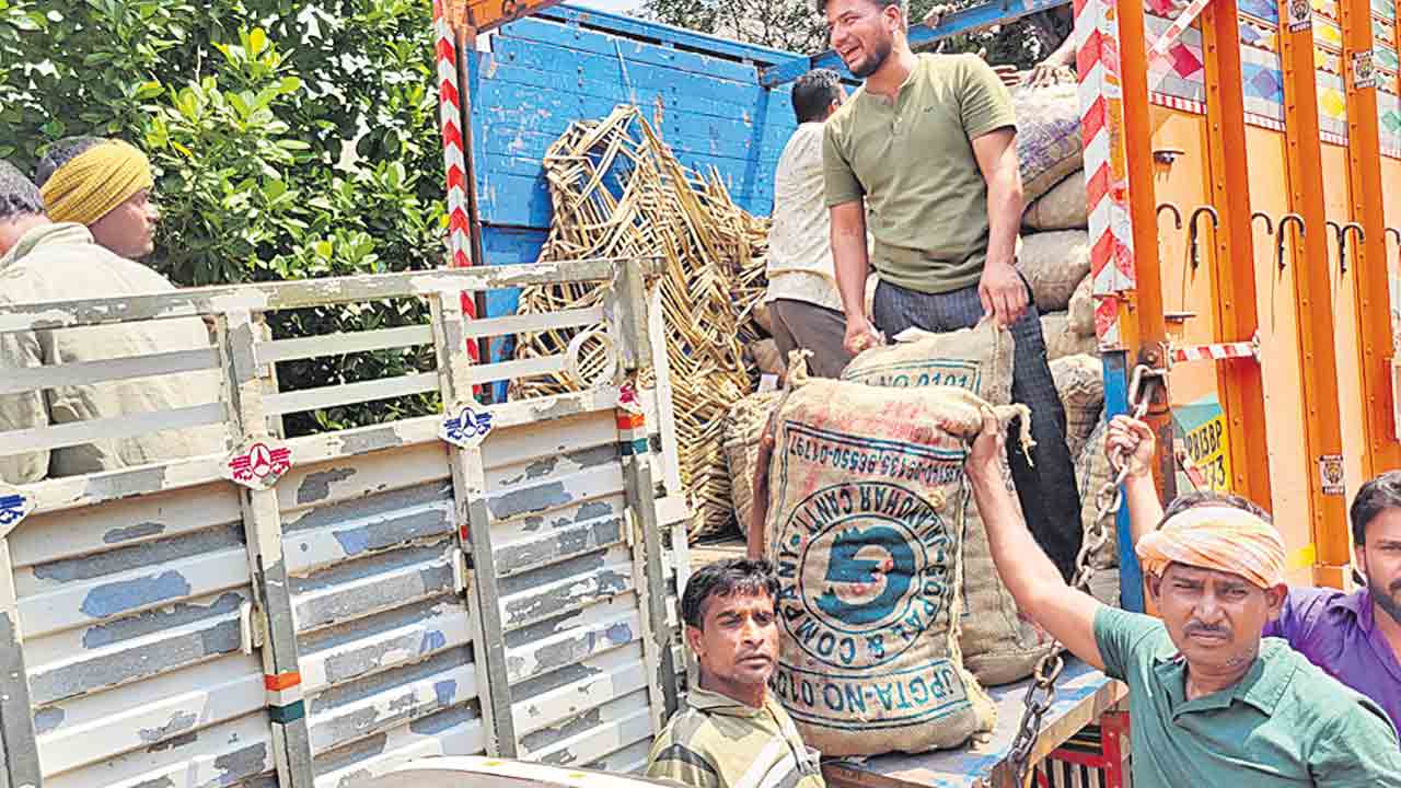 ఆలు రైతుకు విత్తన కష్టం