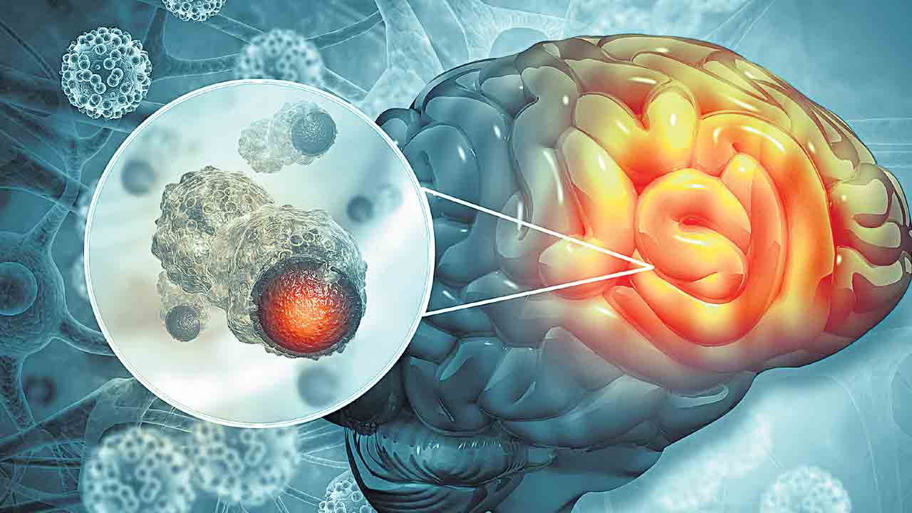 నాడులు చెదరకుండా.. మెదడుకు అండాదండా