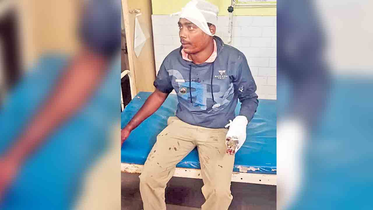 అటవీశాఖ అధికారులపై దాడి