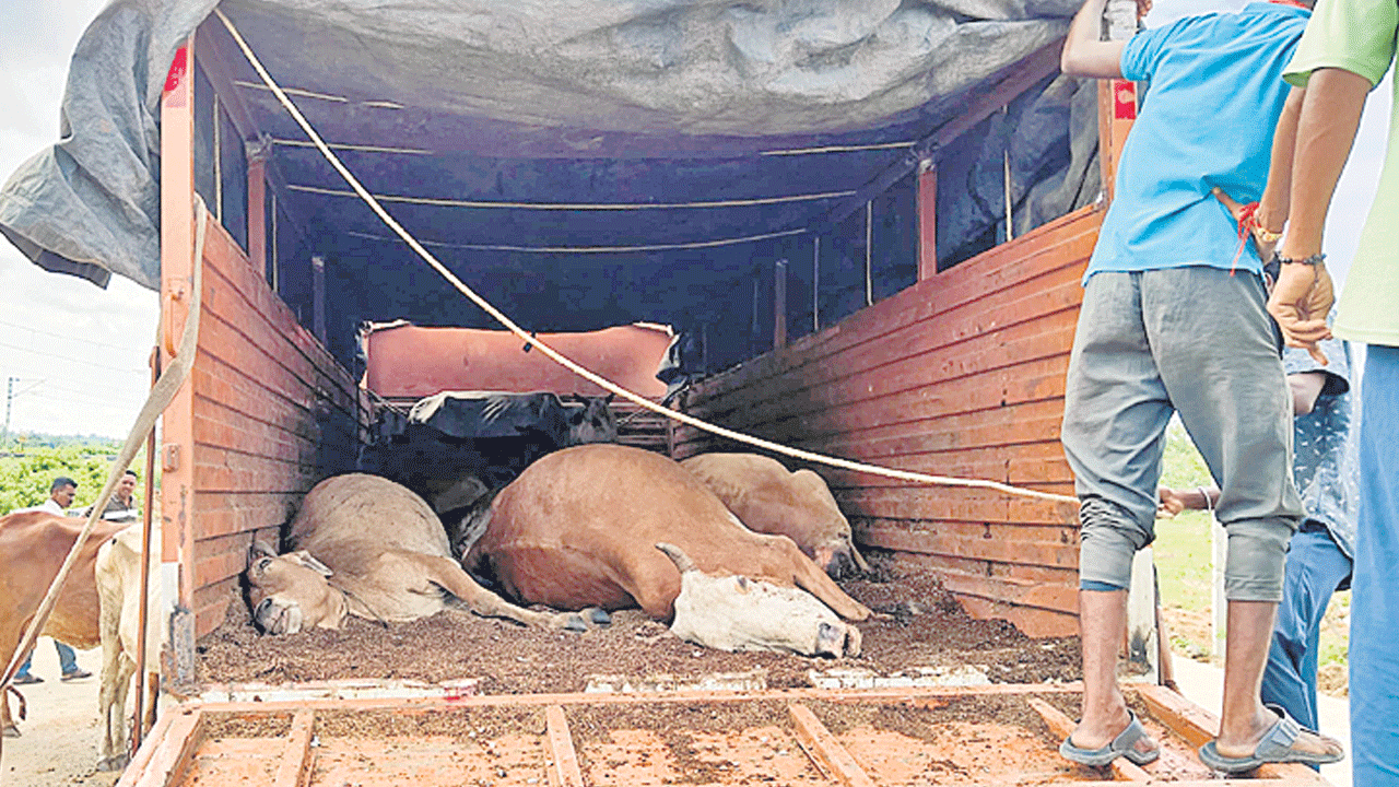 మూగ వేదన