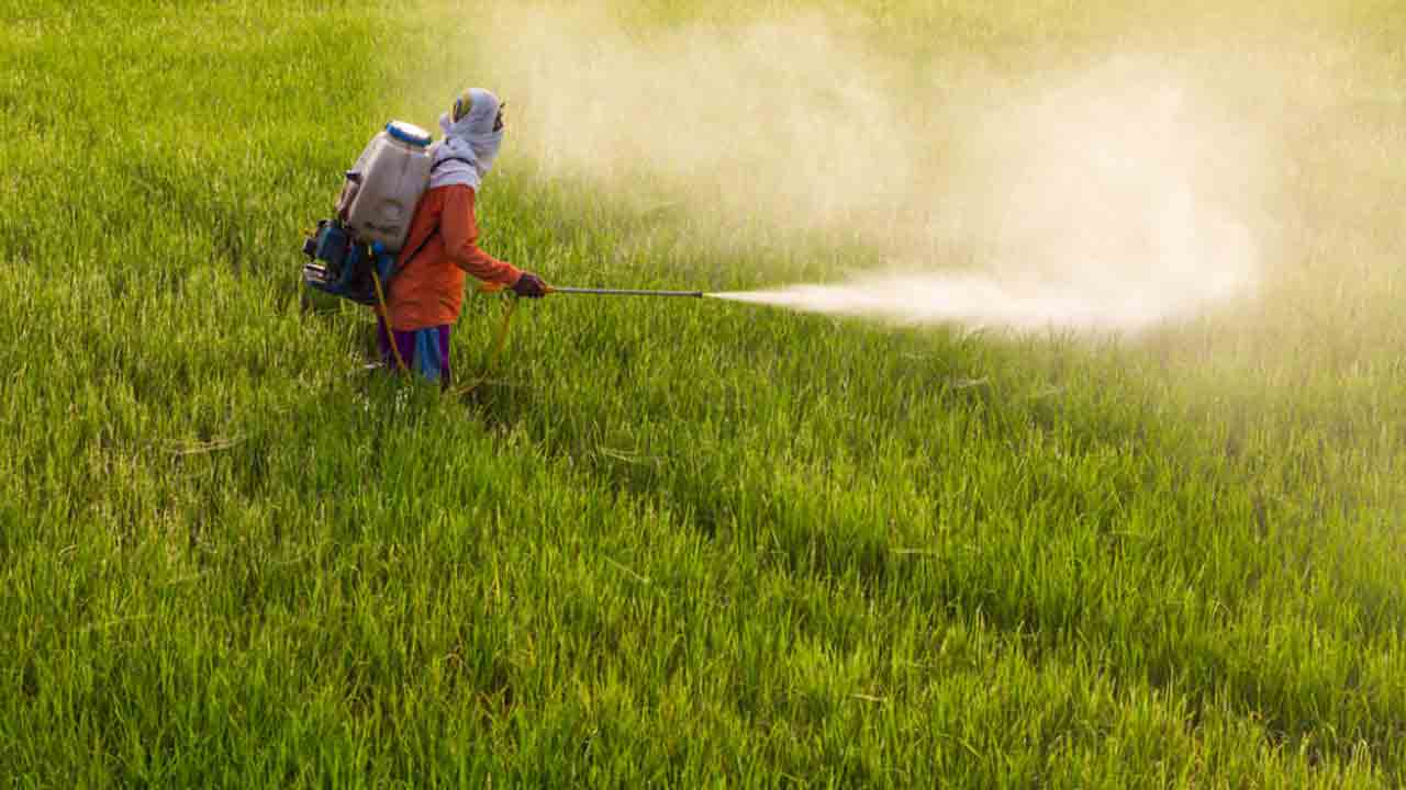 పంటల్లో జన్యుమార్పిడిని వ్యతిరేకిద్దాం