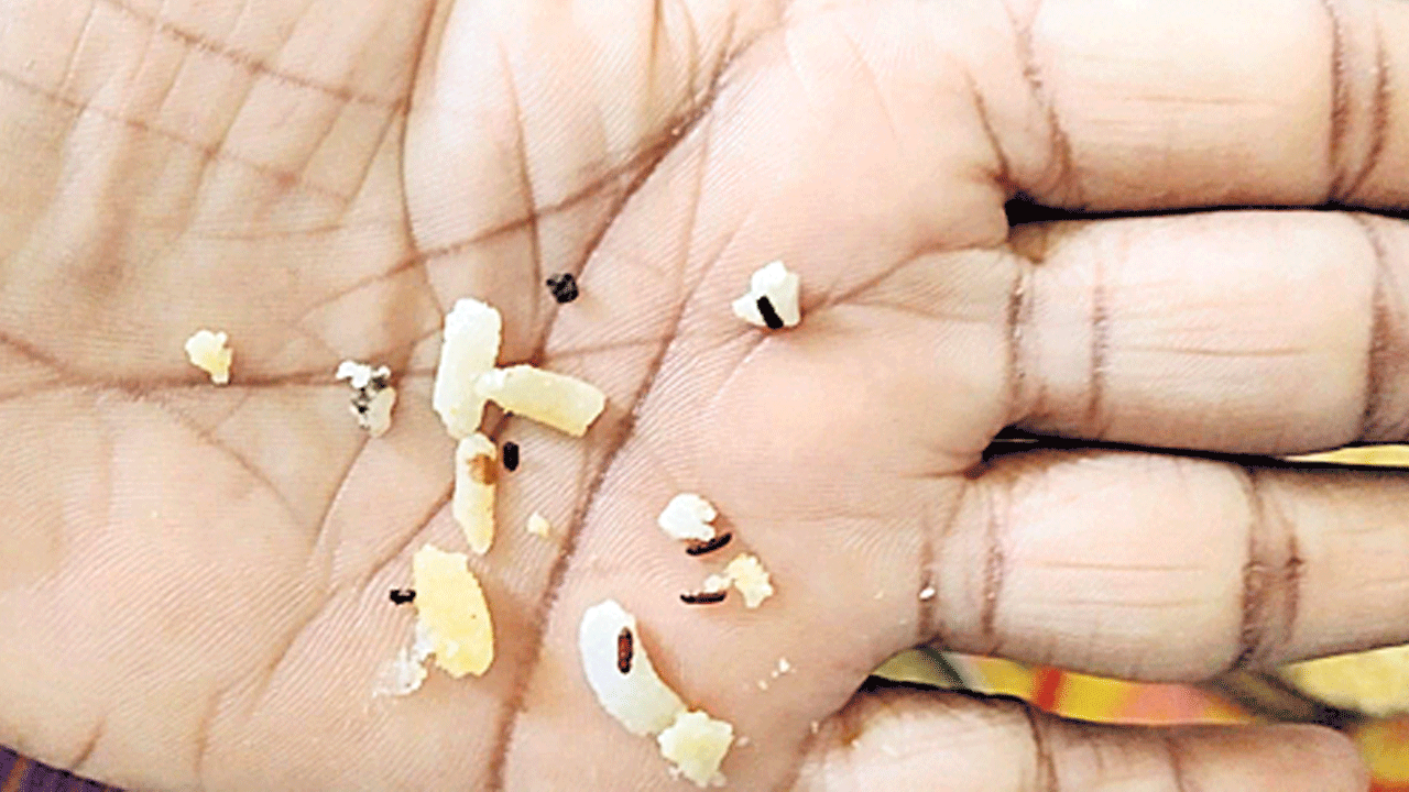 హాస్పిటల్‌ బ్రేక్‌ఫాస్ట్‌లో లక్క పురుగులు