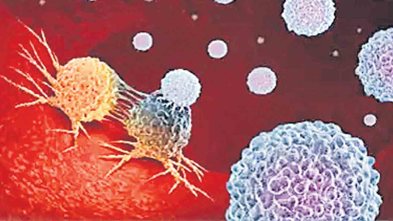 Cancer | మీరు పొడవుగా ఉంటారా.. అయితే మీకు క్యాన్సర్‌ ముప్పు పొంచిఉన్నట్లే!