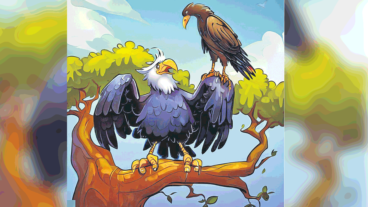 కాకిగోల