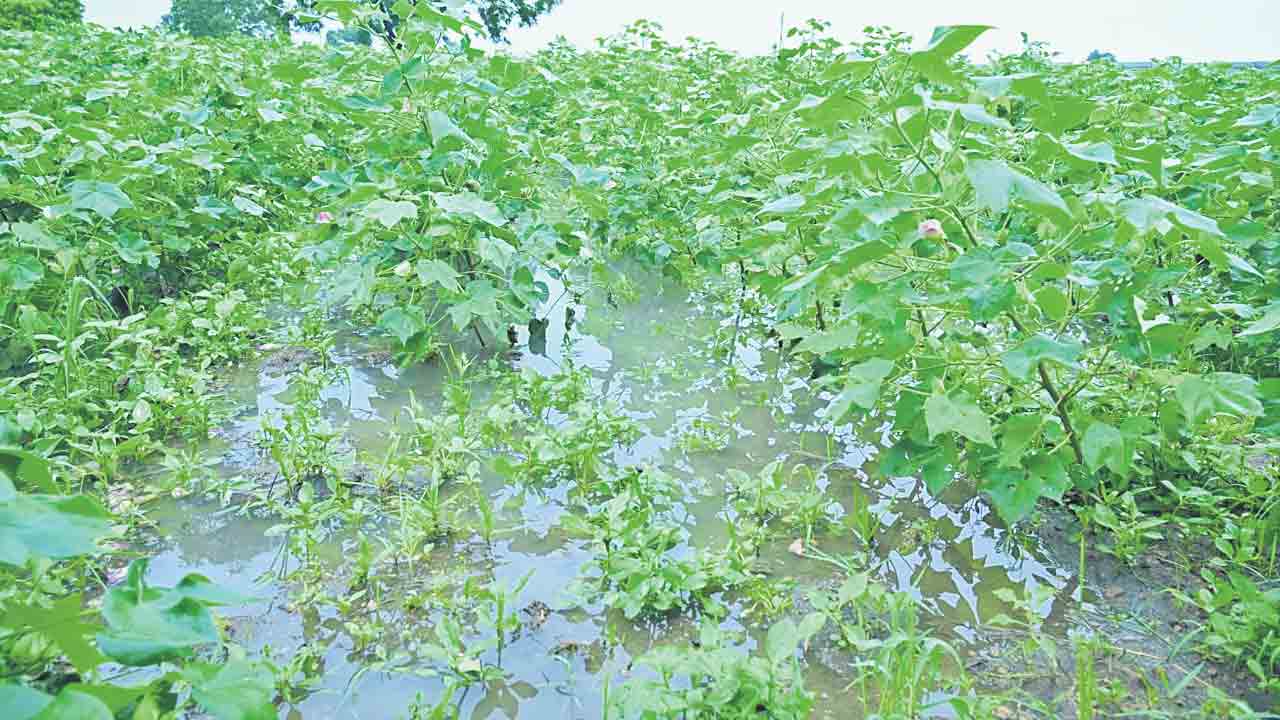 అతలాకుతలం !