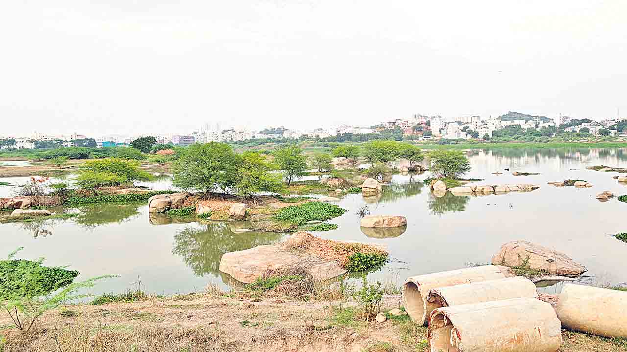 కళ తప్పిన చెకువులు..