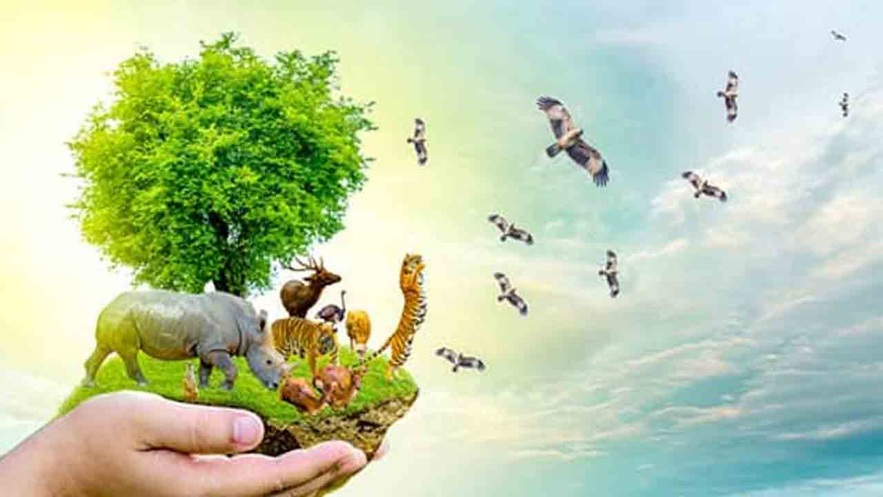 Vantara | వన్యప్రాణుల సంరక్షణ కేంద్రం వాంతార