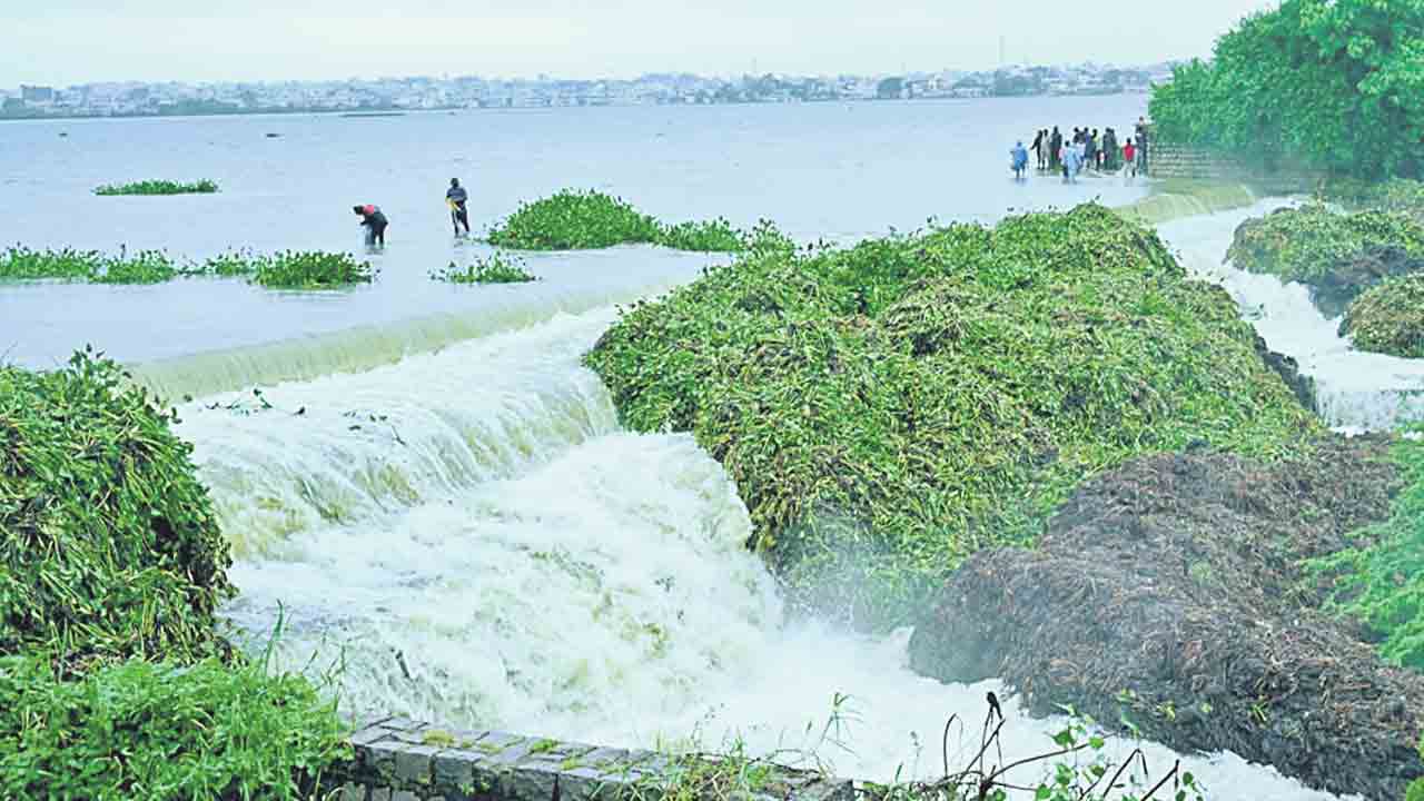 రోజంతా జడివాన