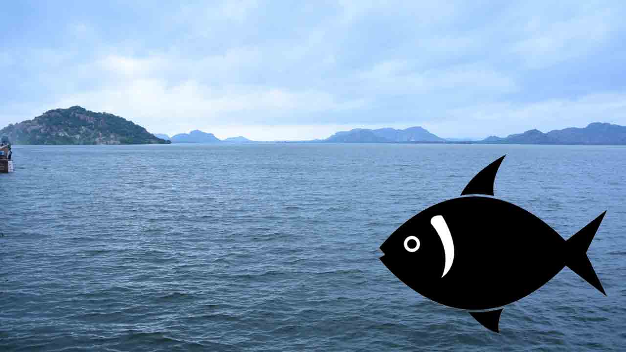 ఫినిష్‌.. !