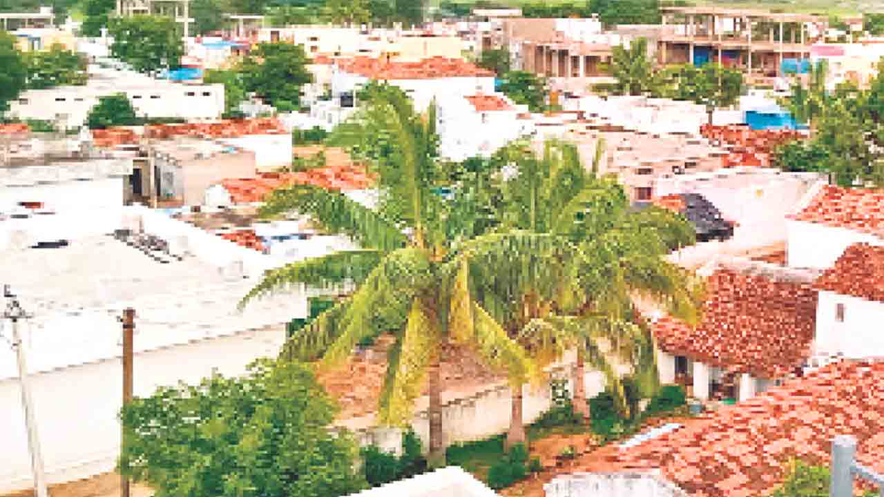 స్ధానికంపై ఫోకస్‌