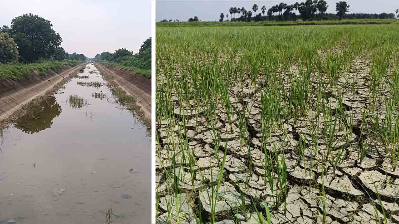 నిండిన ప్రాజెక్టులు.. ఎండిన పొలాలు !